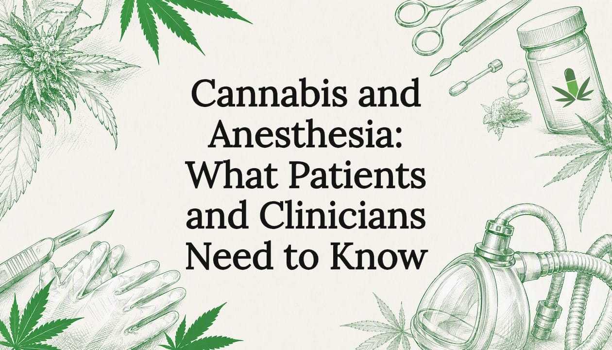 Cannabis and Anesthesia: What Patients and Clinicians Need to Know