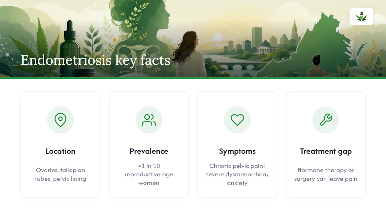 What Endometriosis Is and Why Symptom Management Matters — overview diagram